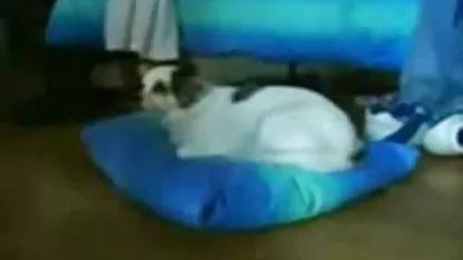 Tanka MILF jebacina xxl u čarapama s oduševljenjem se uključuje u mazohizam